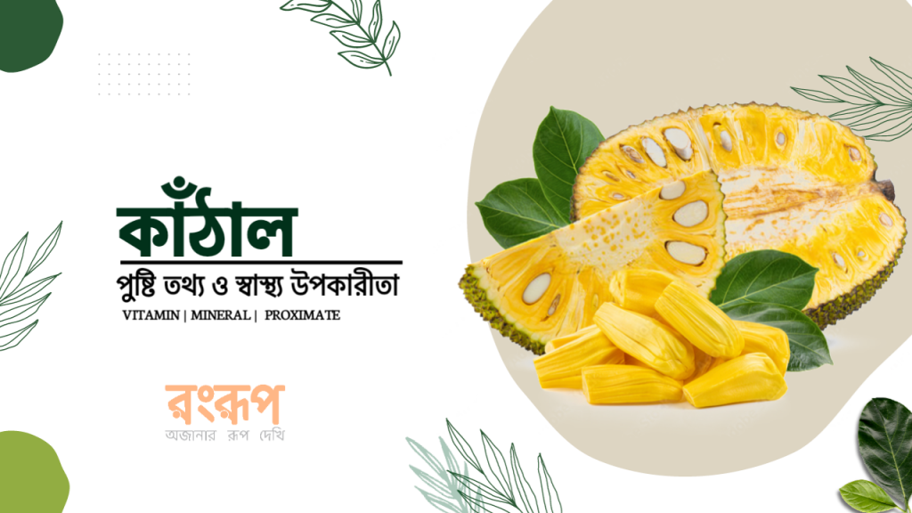 Read more about the article কাঁঠাল এর পুষ্টি তথ্য ও স্বাস্থ্য উপকারিতা