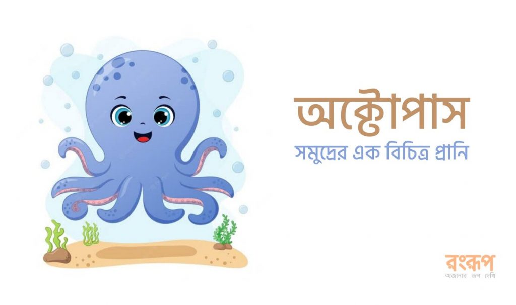 Read more about the article অক্টোপাস-সমুদ্রের এক বিচিত্র প্রানি